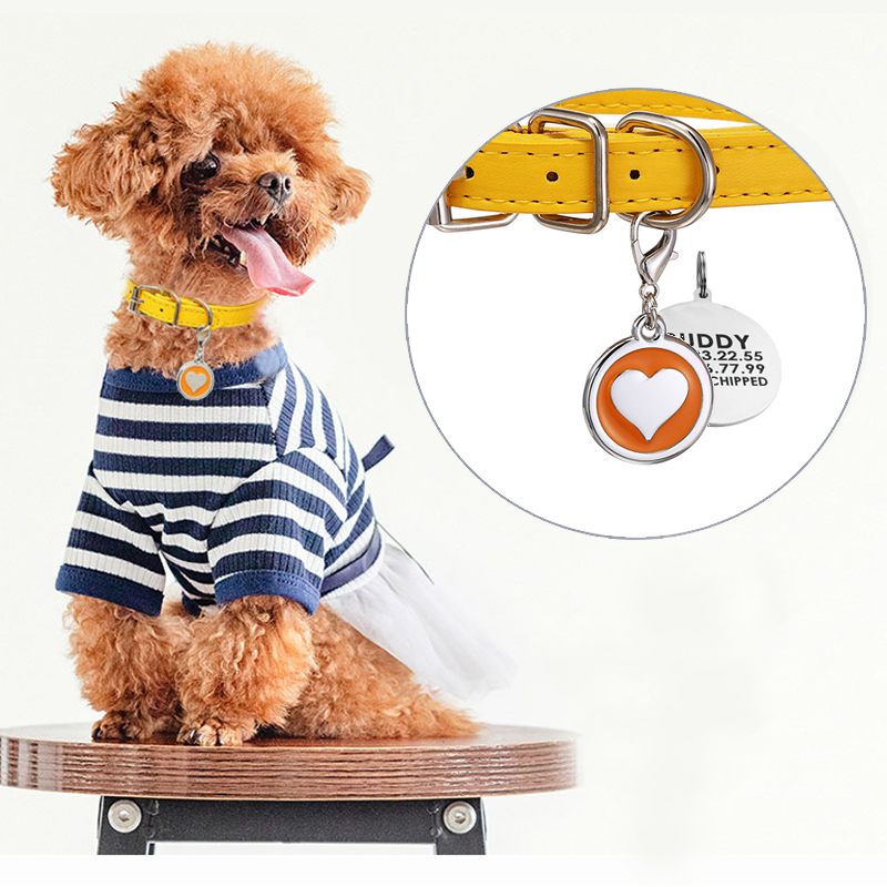Pet Supplies Login - Кожаный ошейник для домашних животных, кошек,