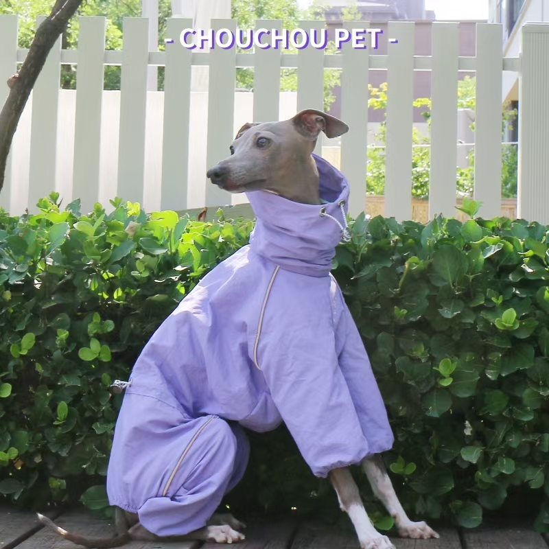 Итальянский плащ для борзых, о – обзор и цена Dog Raincoat