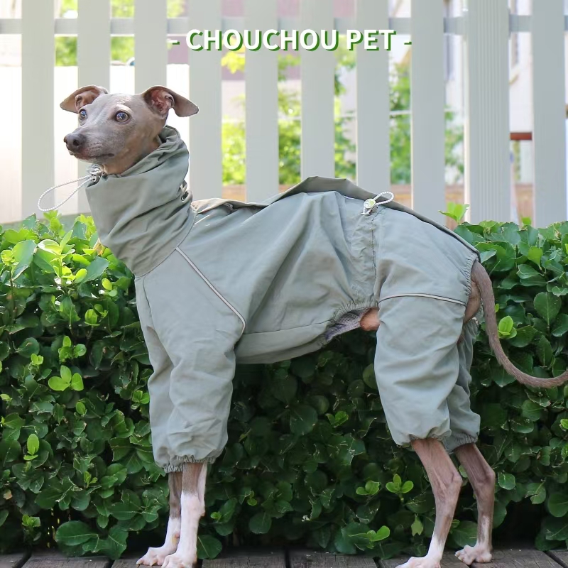 Итальянский плащ для борзых, о – обзор и цена Dog Raincoat