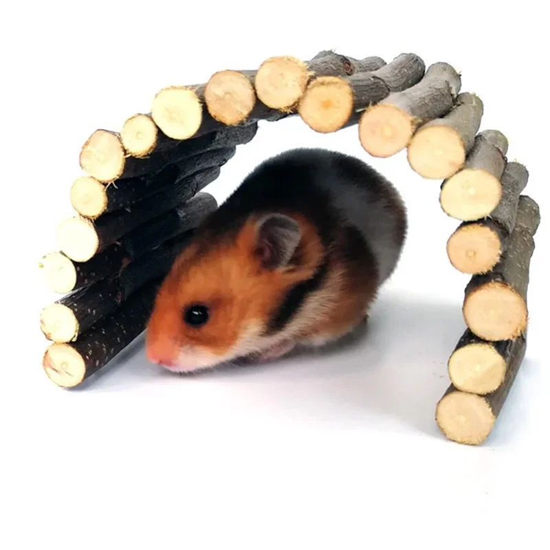 Маленький моляр для домашних ж – обзор и цена Pet Supplies Login