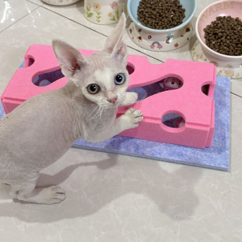 Новые развивающие игрушки для  – обзор и цена Cat Tunnel Toy