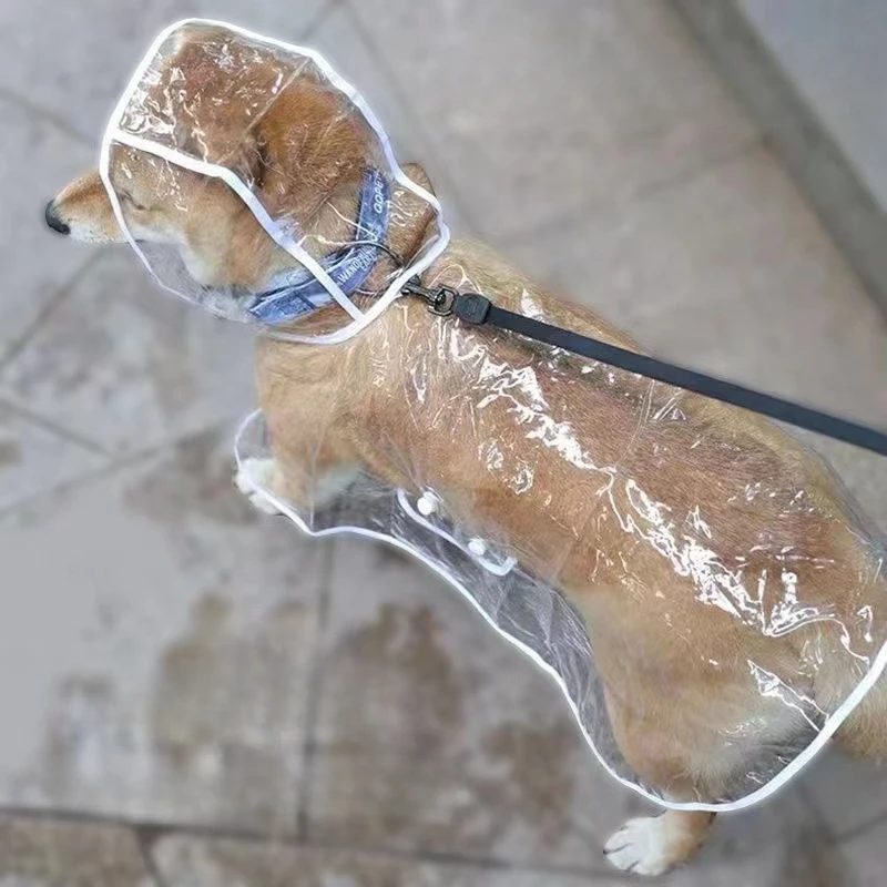 Плащ для собак, прозрачная дож – обзор и цена Dog Raincoat