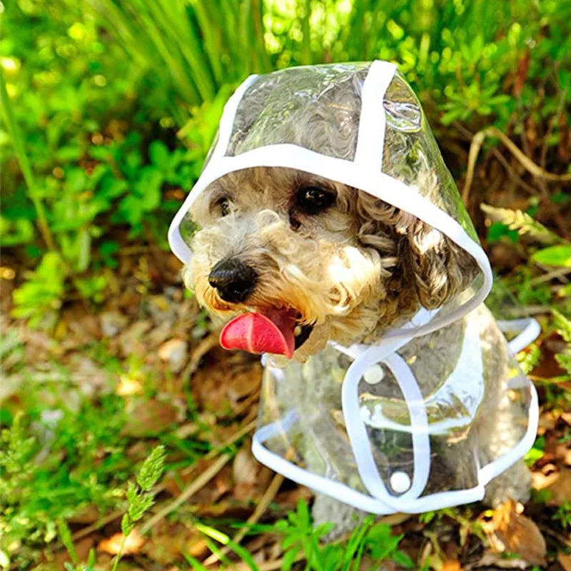 Плащ для собак, прозрачная дож – обзор и цена Dog Raincoat