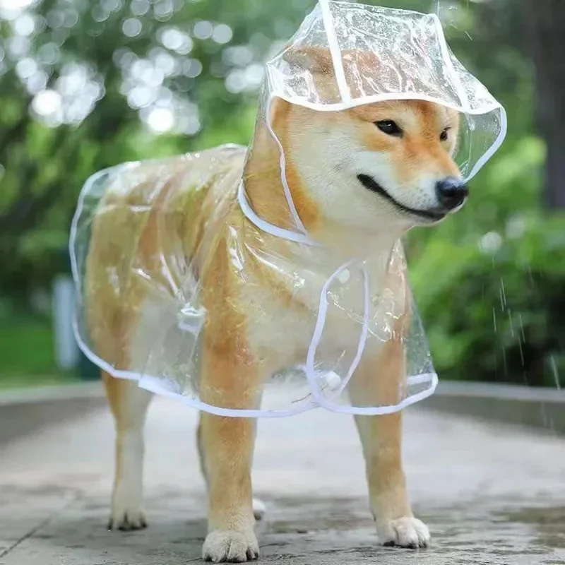 Плащ для собак, прозрачная дож – обзор и цена Dog Raincoat