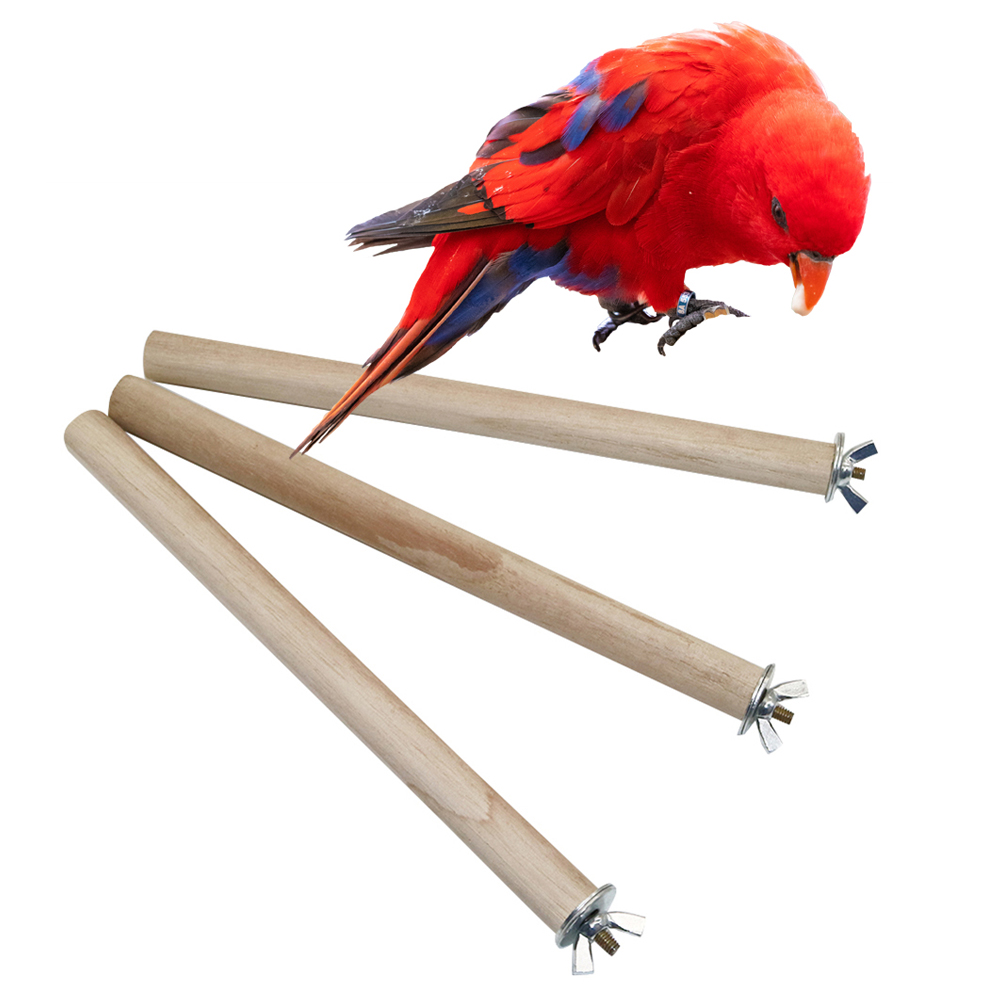 1 шт., попугай, голубь, птица, – обзор и цена Pet Supplies Login