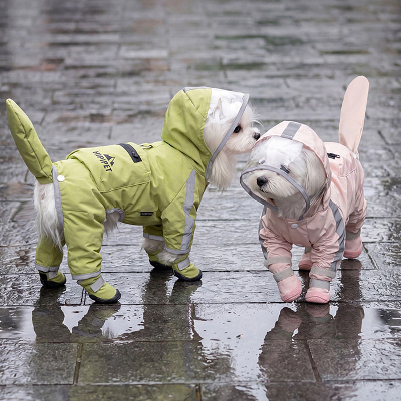 Водонепроницаемый дождевик для – обзор и цена Dog Raincoat