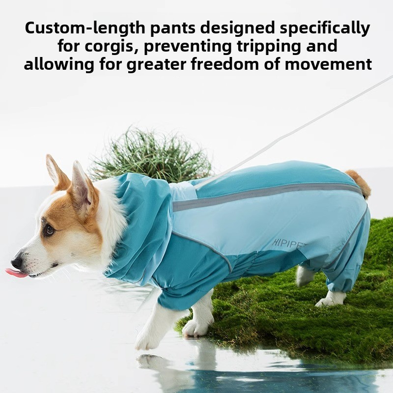 Дождевик для собак 2026 года с – обзор и цена Dog Raincoat