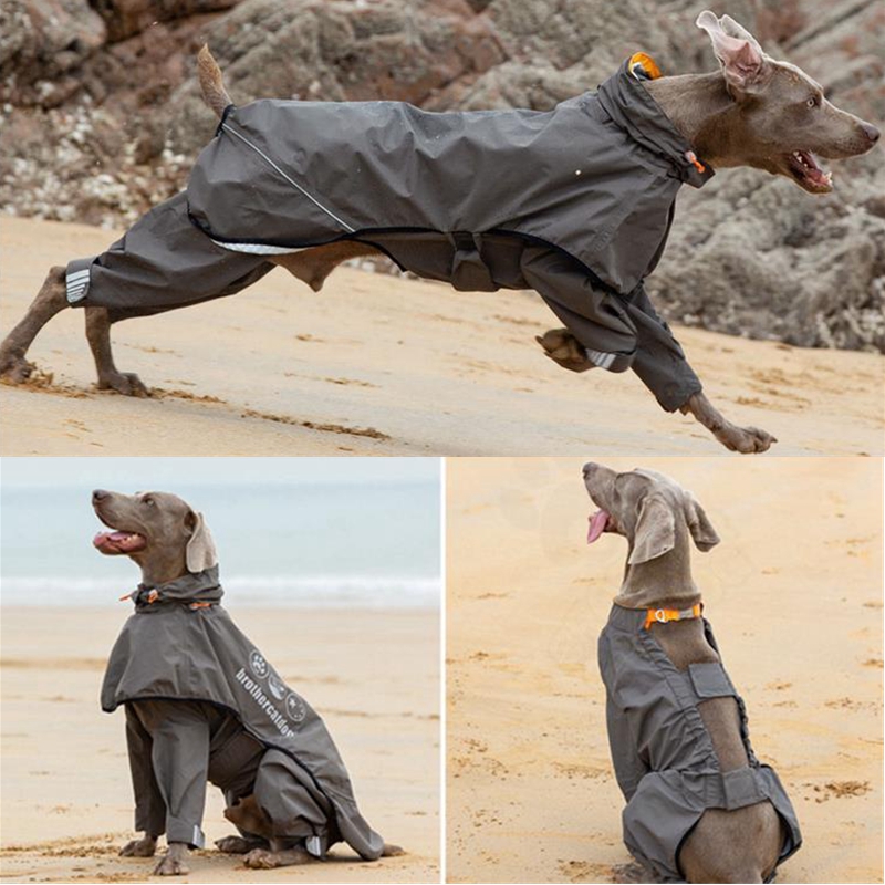 Водонепроницаемый плащ для соб – обзор и цена Dog Raincoat
