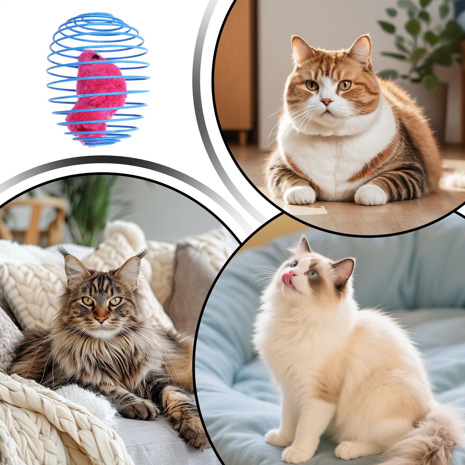 Интерактивная игрушка-спираль  – обзор и цена Cat Tunnel Toy
