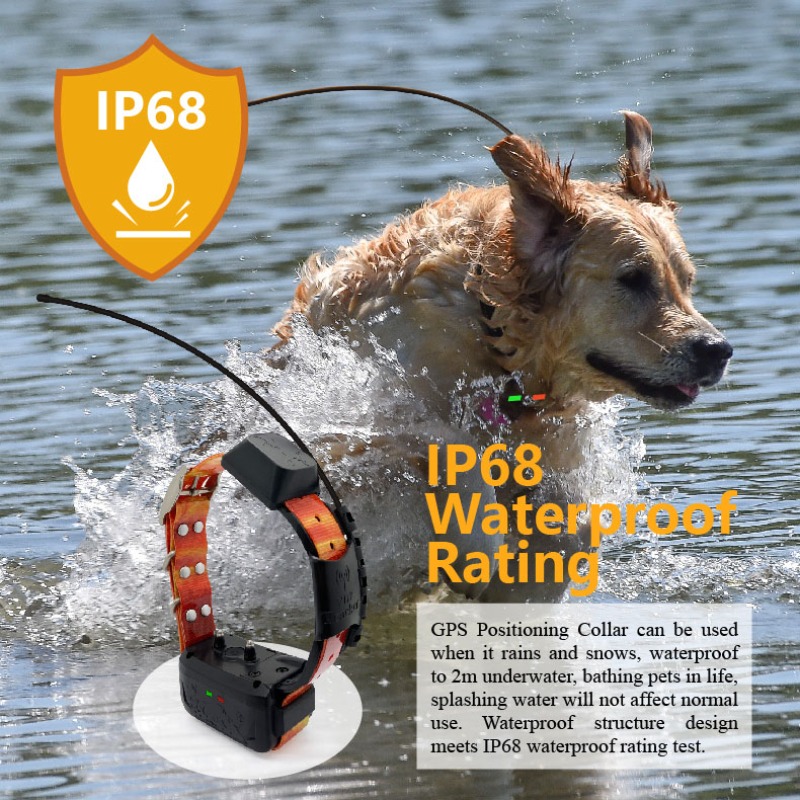 GPS-менеджер ограждения для со – обзор и цена Pet Supplies Login