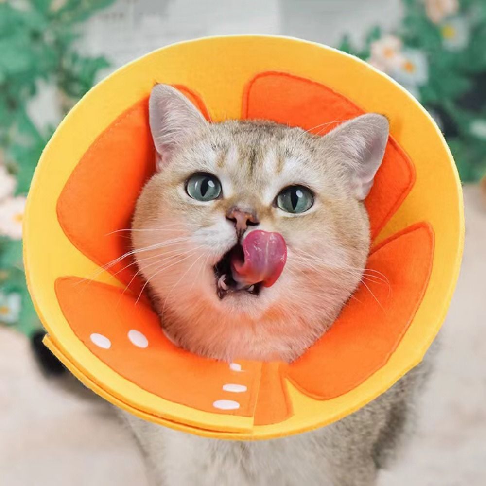 Мягкие защитные ворсистые кону – обзор и цена Pet Supplies Nail Trim